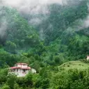 جلوگیری خرید اراضی ملی با رعایت ۱۵ نکته و برگ تشخیص ماده ۵۶