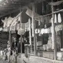 چه بر سر جمعیت رشت آمد؟ روایت طاعون و کاهش شدید جمعیت یک شهر