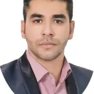 جواد ویسی