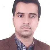 مجتبی میر