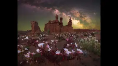 Desert Bloom Marcin Zajac