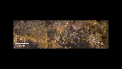 دریاچه اریدانیا