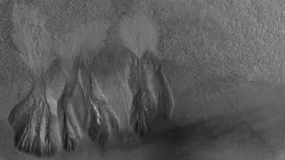 منطقه Arcadia Planitia