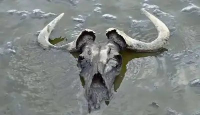دریاچه ناترون (Lake Natron)