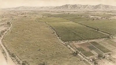 نمای گسترده مرتع دام و مزارع خوراک در کنار قطعات کوچک‌تر کشت محصولات غذایی