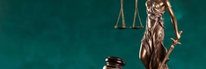 مهدی ربیع
