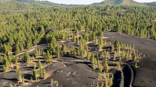 استعلام اراضی ملی: راهنمای گام به گام دریافت و پیگیری