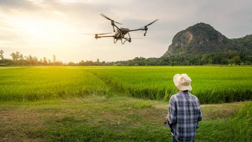 مهندسی کشاورزی: راهنمای جامع تحصیل، بازار کار و درآمد