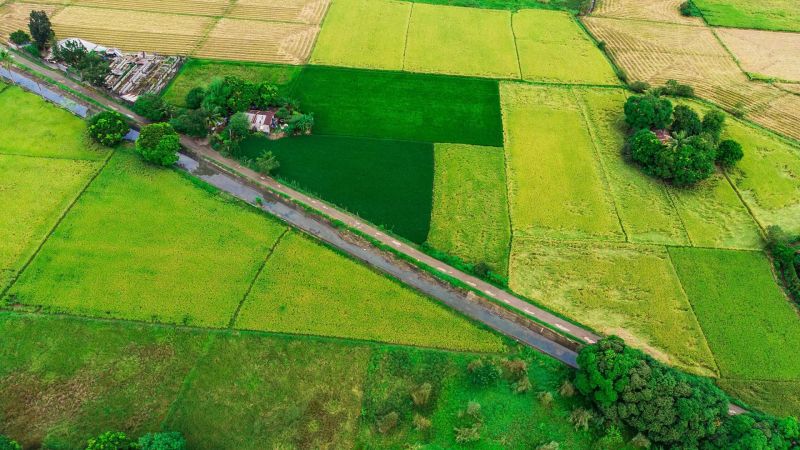 اصلاحات ارضی