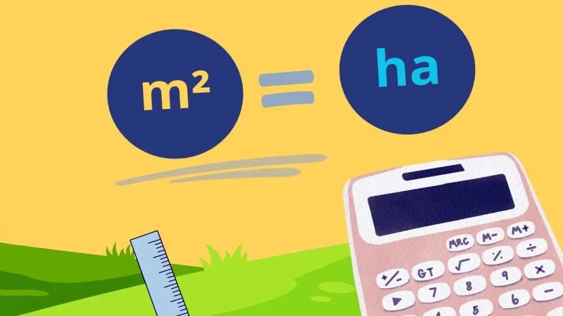 تبدیل واحد متر به هکتار و برعکس