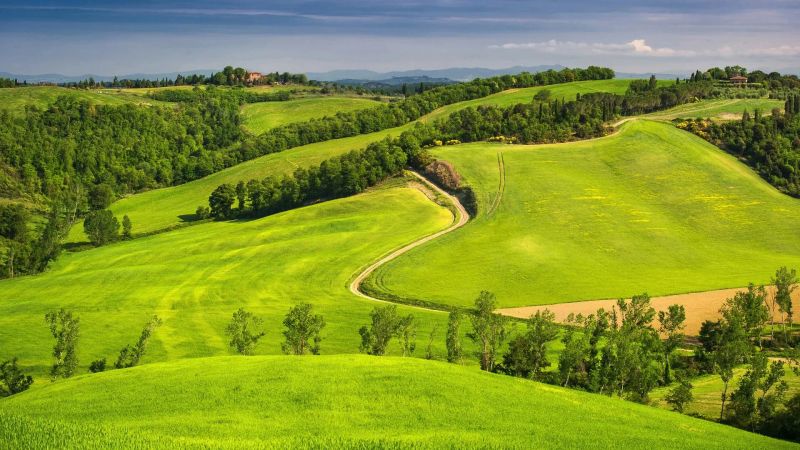 نمایی از اراضی ملی