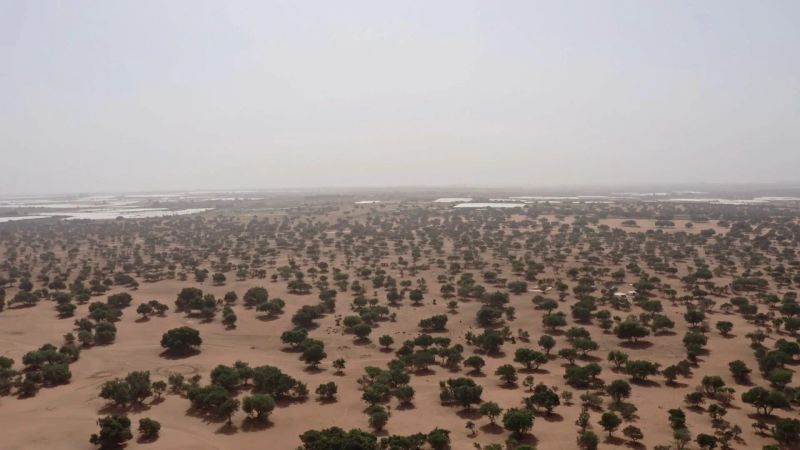 زمین های موات