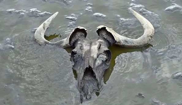 دریاچه ناترون (Lake Natron)