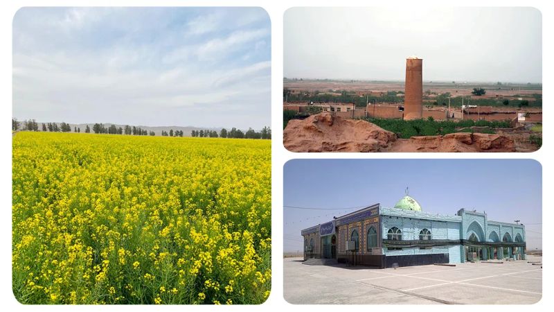 تعدادی از تصاویر جاهای دیدنی 